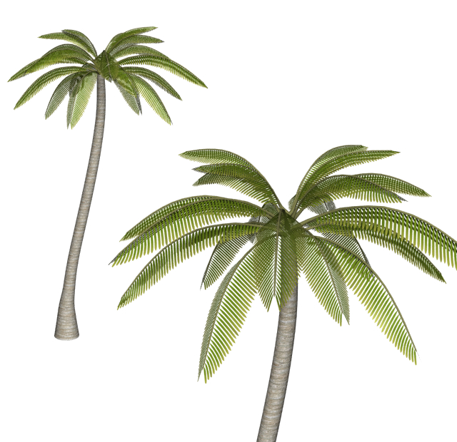 椰子の木（その他の3DCG）