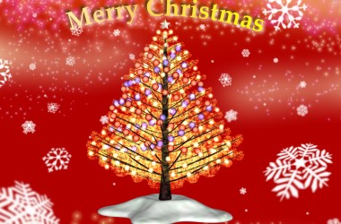 2008年11月 クリスマス・ツリー